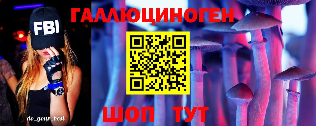 Псилоцибиновые грибы Psilocybine cubensis Белебей